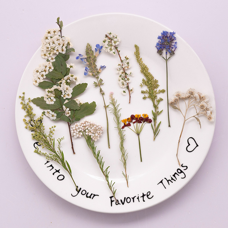 Dried Flower Bookmark - Lot de 500 grandes fleurs de
