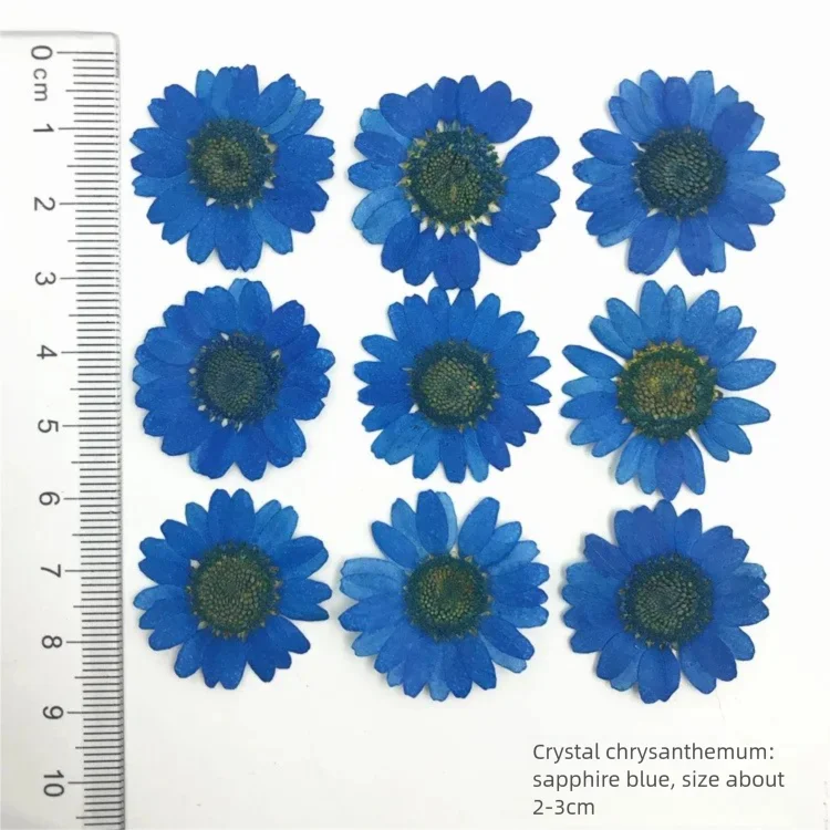 100 Pétales de Chrysanthème Te - Dried Flower Bookmark avis et prix