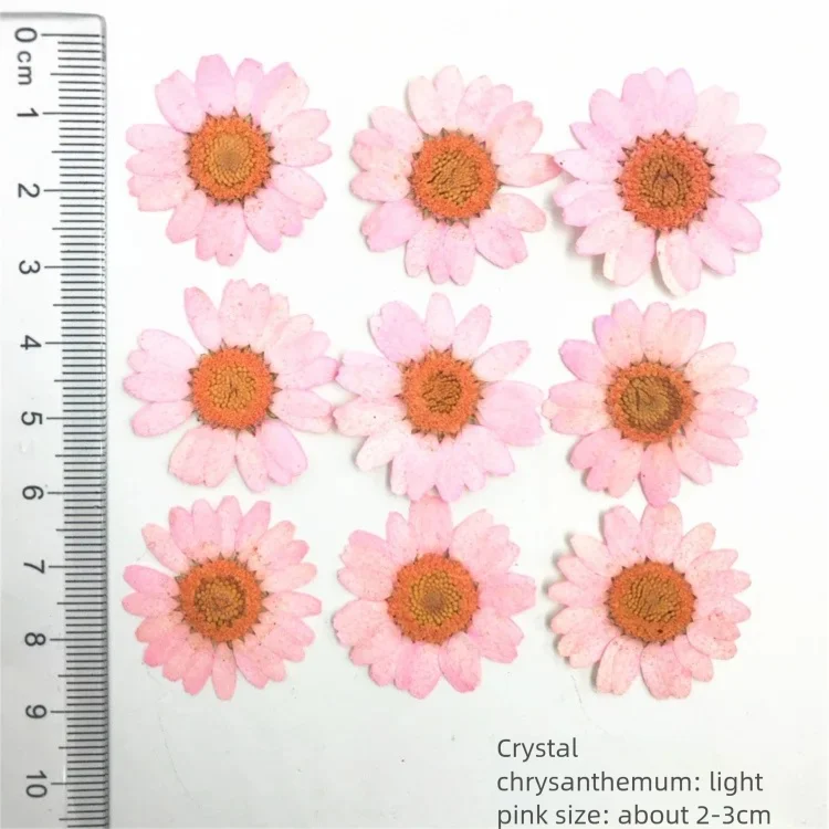 100 Pétales de Chrysanthème Te - Dried Flower Bookmark avis et prix