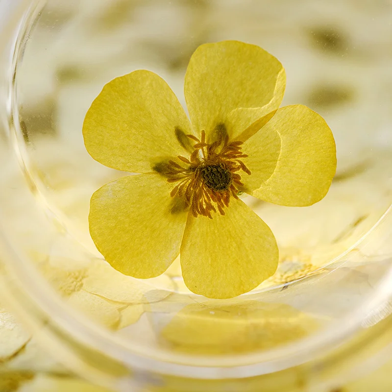 100 pièces de ranuncules séché - Dried Flower Bookmark avis et prix