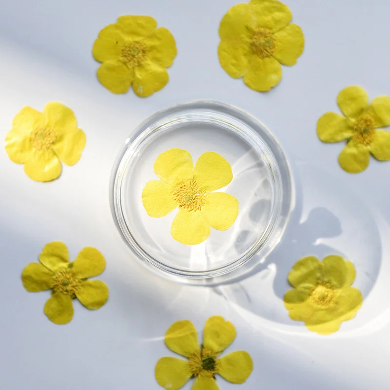 100 pièces de ranuncules séché - Dried Flower Bookmark avis et prix
